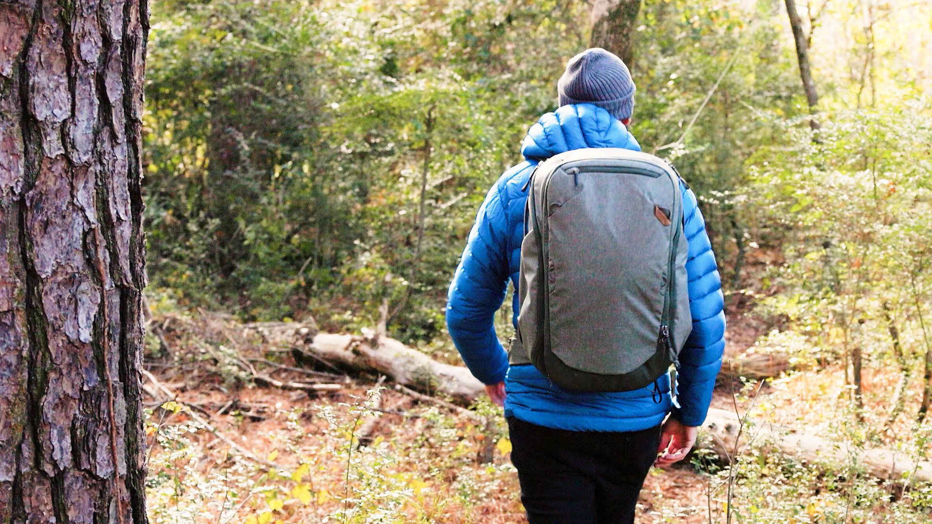 Hiking with the Peak Design 45L Travel Backpack
