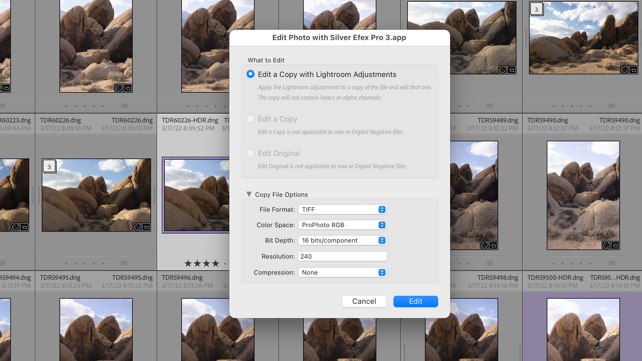 Edit options when opening a raw image from Lightroom in Silver Efex