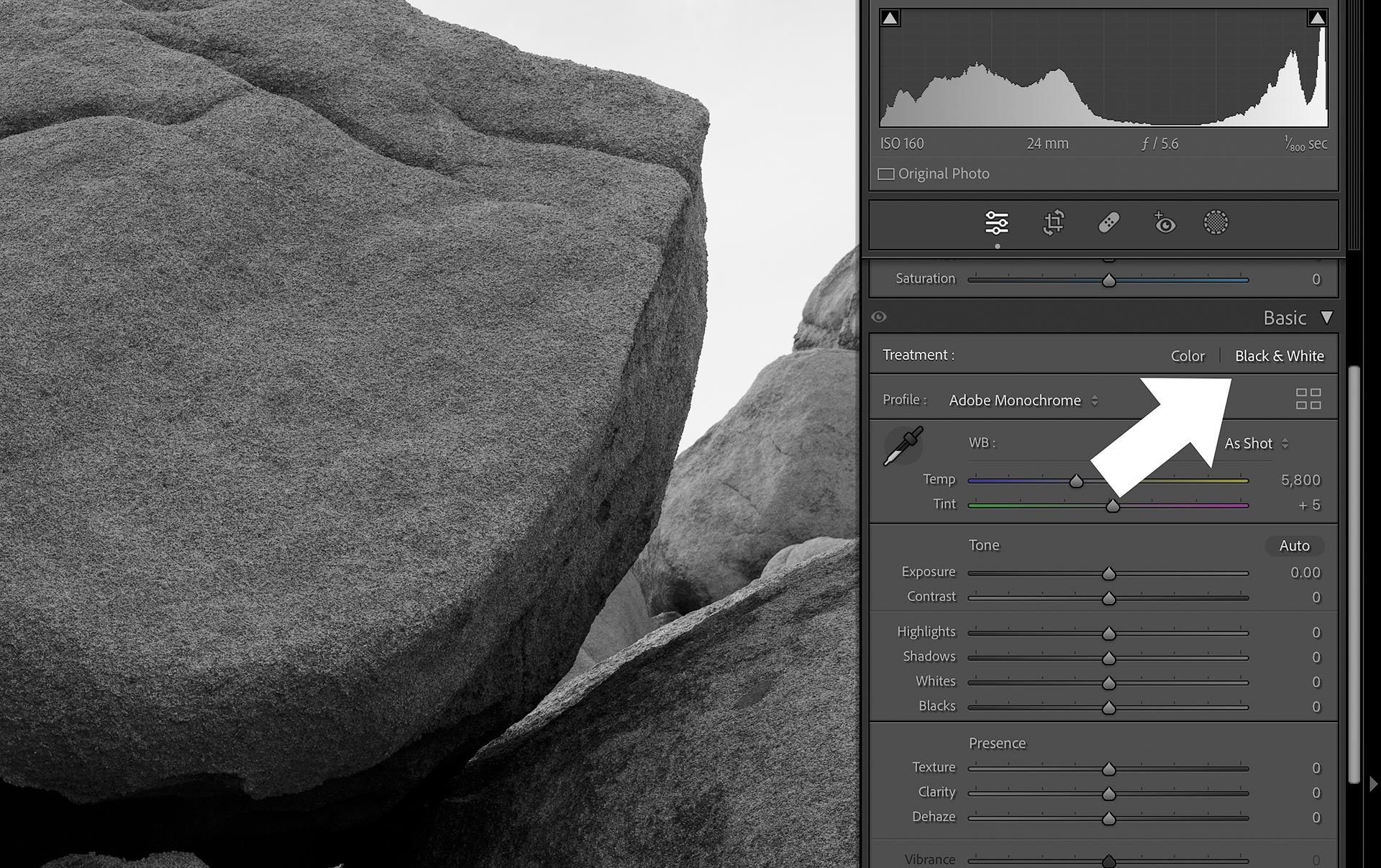 Black and white treatment option in Adobe Lightroom