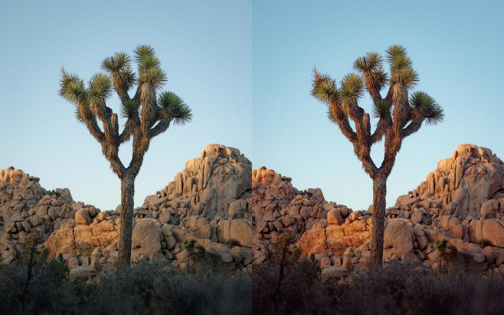 No Calibration edits (left), Calibration hue and saturation edits (right)