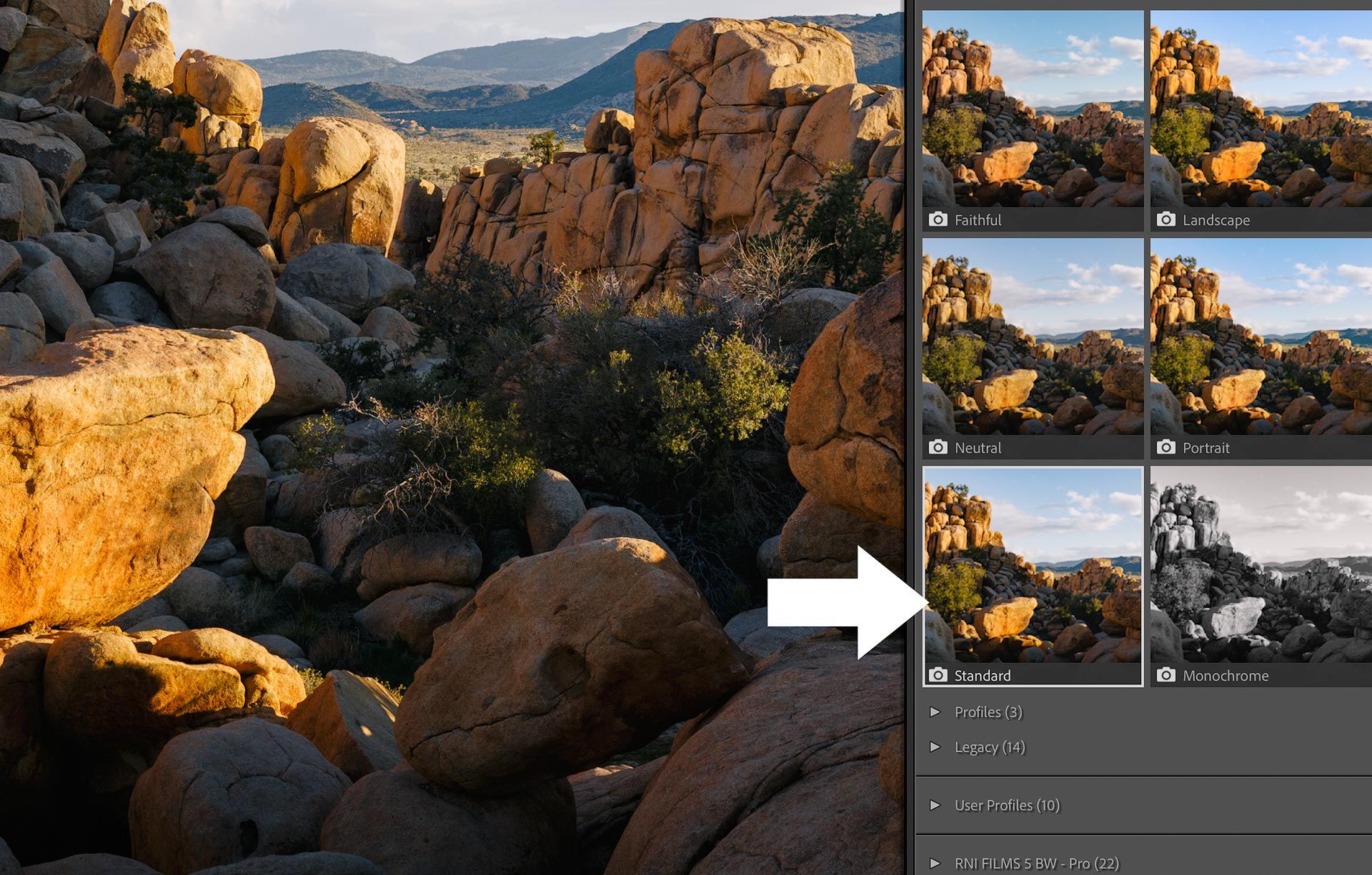 Applying a Camera Matching color profile in Adobe Lightroom Classic