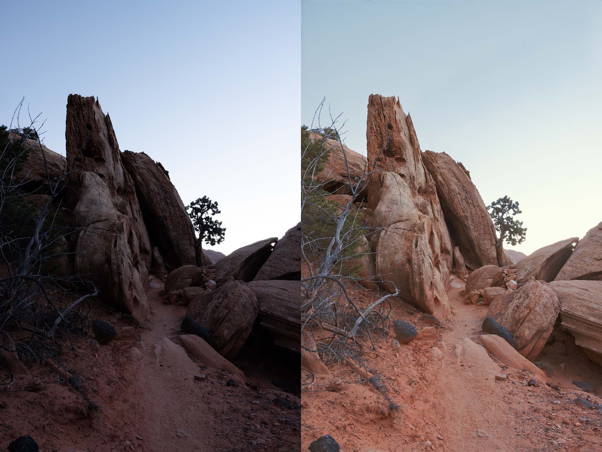 Before and after using Adjust Lighting and Balance Color in Topaz Photo AI V2