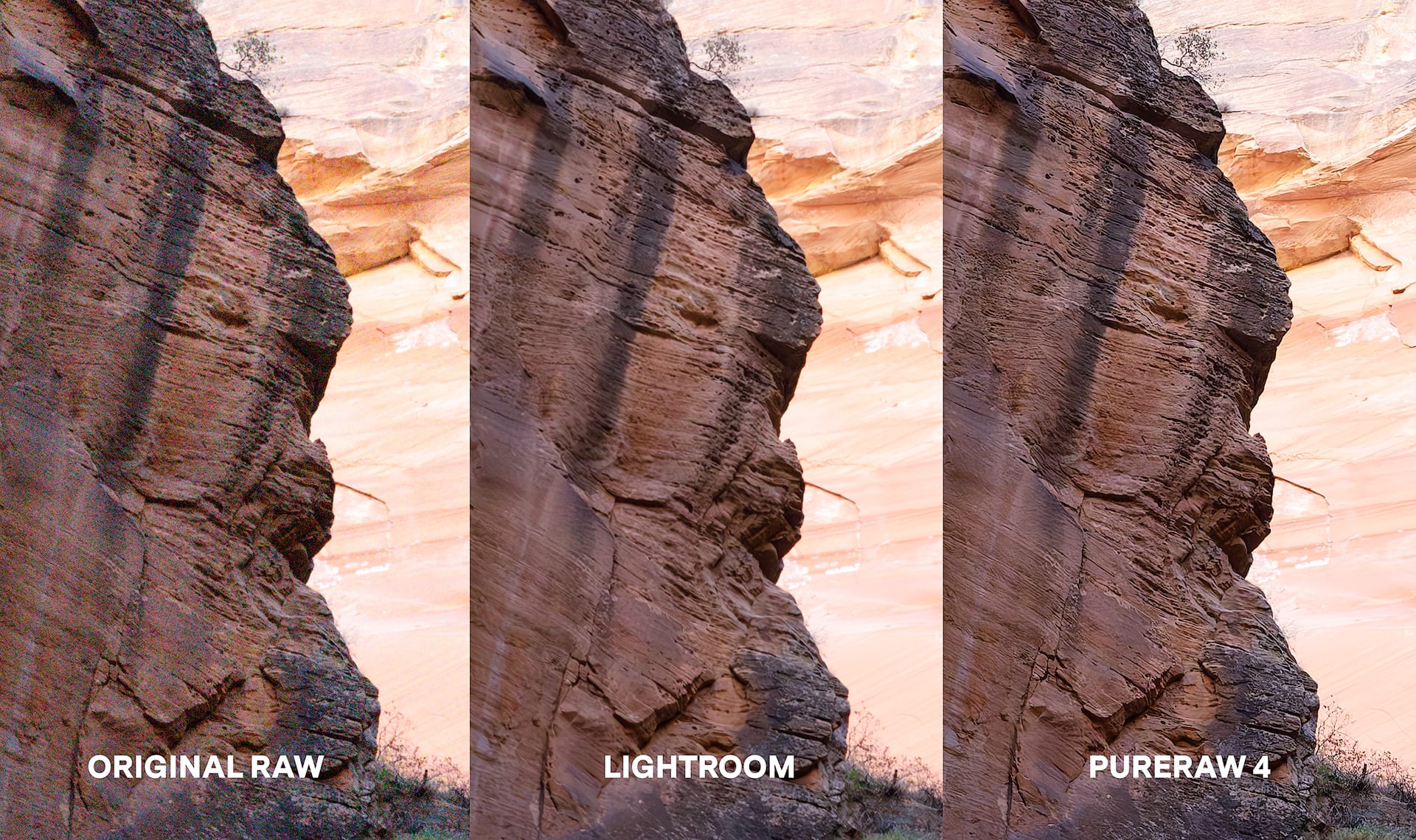 Comparing raw file against Lightroom Denoise AI and PureRAW 4