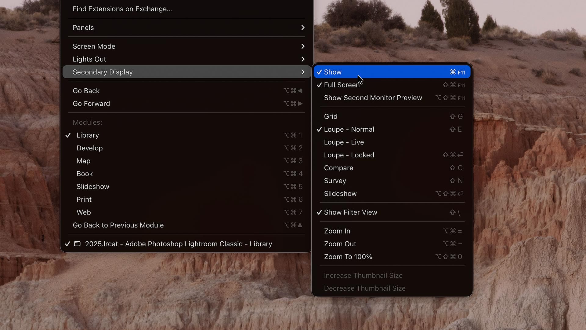 Enabling Second Display mode in Lightroom Classic