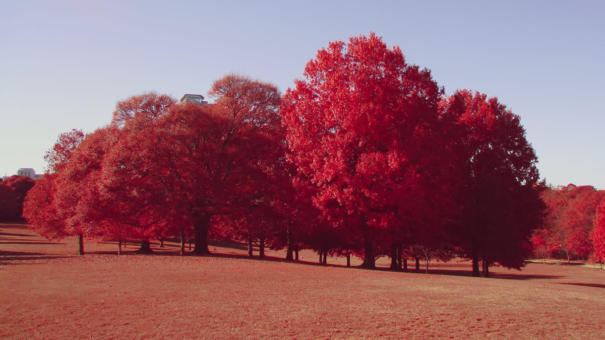 Digitally recreating the look of Kodak Aerochrome