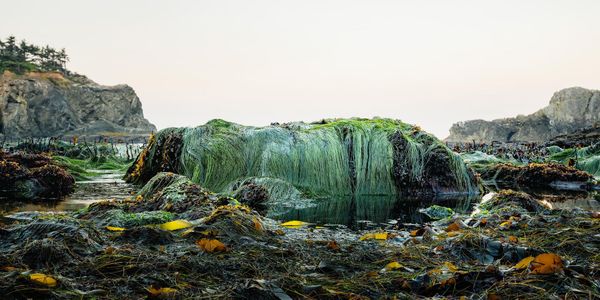 Secret Beach, Oregon